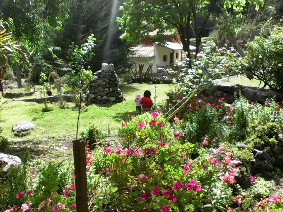 Hospedaje Illariy Yanama Exterior foto